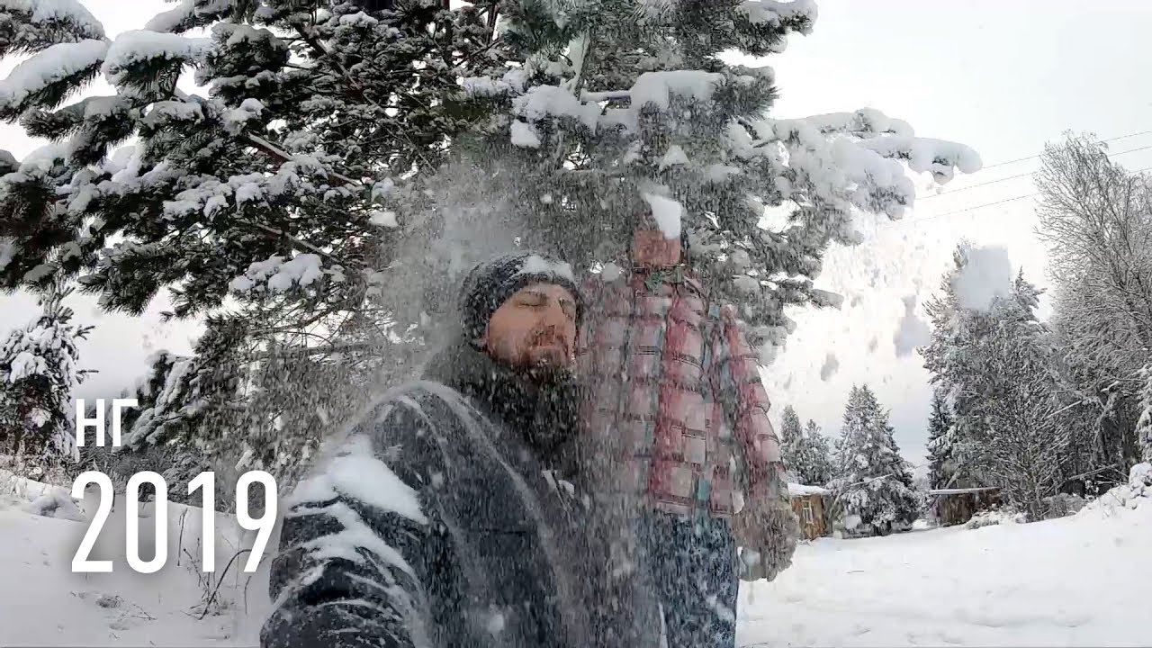 НГ 2019